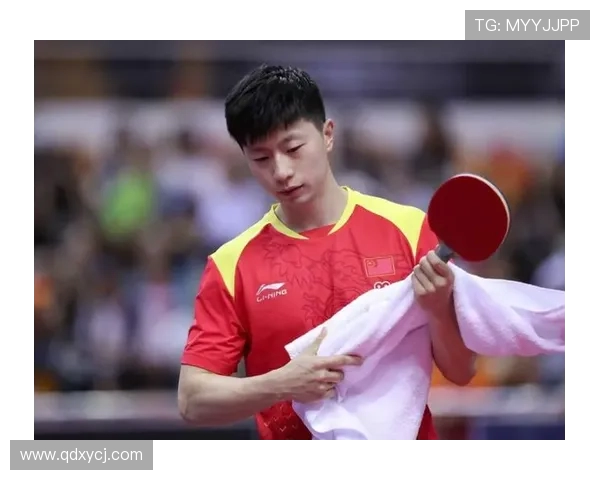 西安乒乓球队防守战术解析与比赛表现的深度剖析