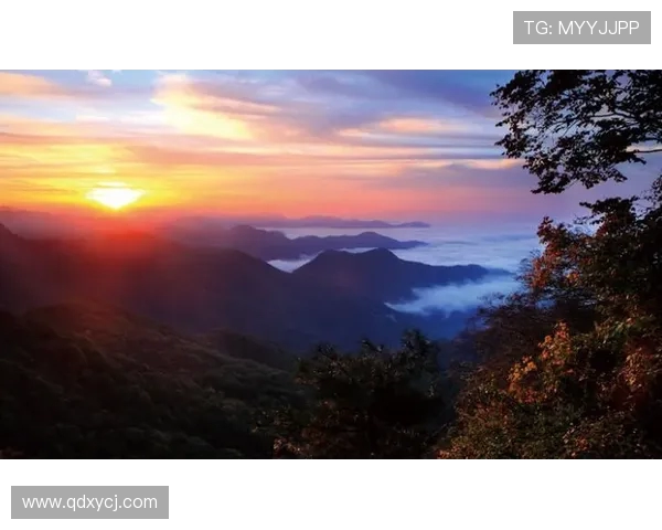 赵伟的攀岩人生：在高峰与深渊之间的深度对话与心灵探索