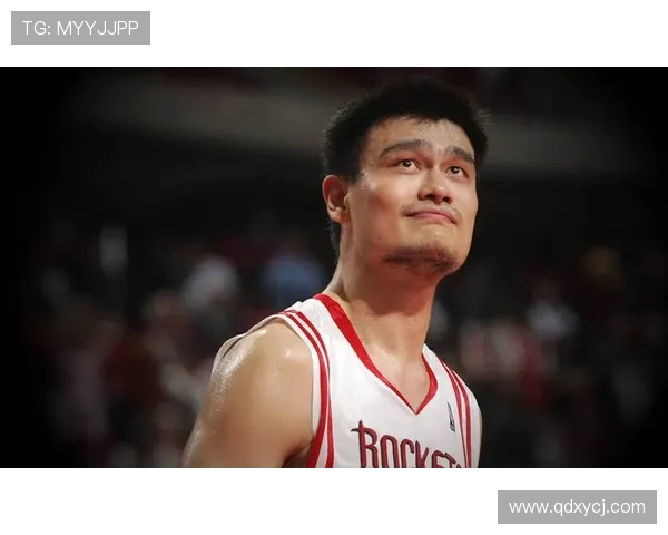 2006年火箭对阵奇才姚明精彩表现回顾与赛场瞬间分析