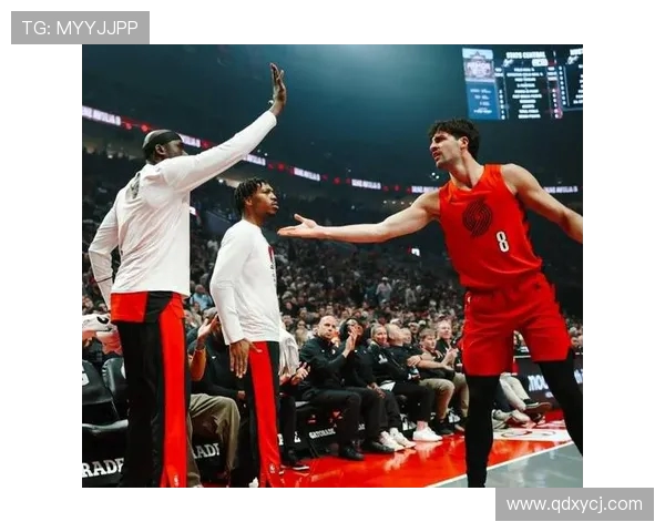 德阿隆福克斯的崛起之路与未来展望：从新秀到全明星的蜕变