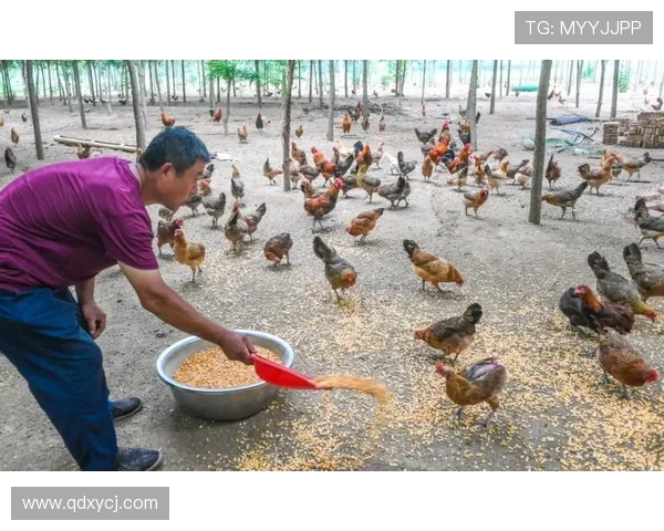 景菡一的成长之路与人生哲学探索之旅