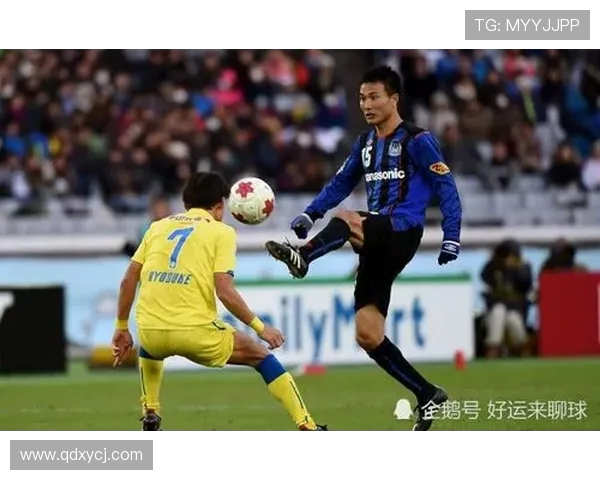 金泽队迎战福田黄蜂全力争胜展现球队实力与拼搏精神