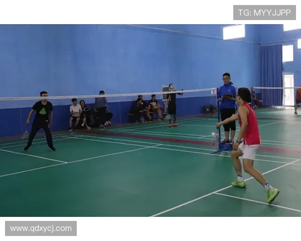 羽毛球专题:深入探讨成都羽毛球队默契配合与战术协作的成功之道 羽毛球专题:深入探讨成都羽毛球队默契配合与战术协作的成功之道