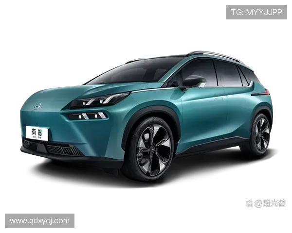 城市赛分析：FPX在耐力赛中的卓越表现与战术深度探讨